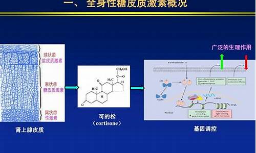 糖皮质激素治疗白斑_糖皮质激素不合适的进